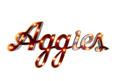 Texas A&M "Aggies" Lighted Recycled Metal Decor